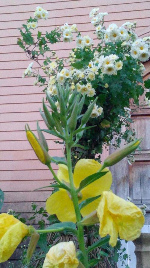 Сибиряк Tskaltubo Dış mekan fotoğraf