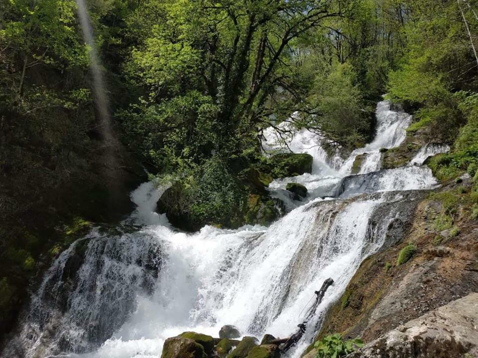 Сибиряк Tskaltubo Dış mekan fotoğraf
